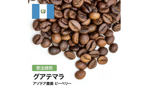 コーヒー豆 #285 グアテマラ アゾテア農園 ピーベリー 受注焙煎！310g 珈琲豆  自家焙煎