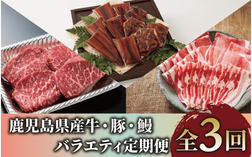 【全３回定期便】鹿児島県産牛・豚・鰻バラエティ定期便(Z055-1731) 牛 豚 鰻 牛肉 豚肉 肉 うなぎ 国産 鹿児島県産 鹿児島産 セット 頒布会 定期 ステーキ しゃぶしゃぶ 蒲焼 すき焼 すきやき すき焼き 冷凍 うなぎの蒲焼 うなぎ蒲焼 かばやき