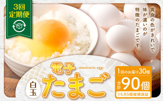 AS-469 【3ヶ月定期便】 電子たまご（白玉） 合計90個（30個×3回） 卵 たまご 白玉 定期 1514317 - 鹿児島県薩摩川内市