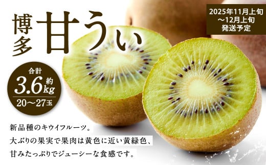 福岡県産 博多甘うぃ 約3.6kg（20玉～27玉入り）【2025年11月上旬～12月上旬発送予定】キウイ キウイフルーツ フルーツ 果物 くだもの