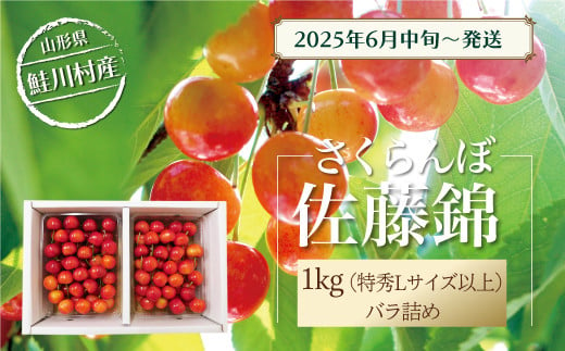 【令和7年産 早期受付】 鮭川村産さくらんぼ ＜佐藤錦＞ 特秀Lサイズ以上バラ詰め 1kg（500g×2P）