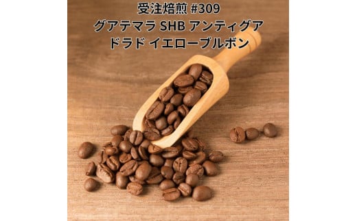 コーヒー豆 #309 グアテマラ SHB アンティグア ドラド イエローブルボン 受注焙煎！310g 珈琲豆  自家焙煎