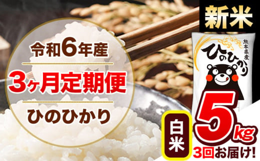 【3ヶ月定期便】令和6年産 新米 定期便 ひのひかり 5kg 《申込み翌月から発送》令和6年産 熊本県産 ふるさと納税 白米 精米 ひの 米 こめ ふるさとのうぜい ヒノヒカリ コメ 熊本米 ひのもり 1568862 - 熊本県玉東町