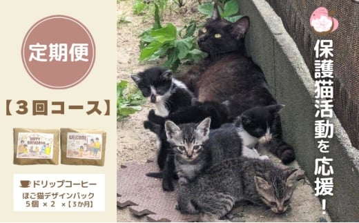 定期便 3回 コーヒー 保護猫活動を応援！ ドリップバッグ 10袋×3カ月 珈琲 ドリップコーヒー