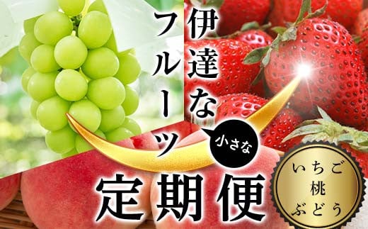 ＜2025年から開始の定期便＞伊達な小さなフル－ツ定期便（いちご約500g・桃約1kg・ぶどう1房）果物 フルーツ 桃 モモ 苺 イチゴ 葡萄 ブドウ 福島県 伊達市 F21C-019