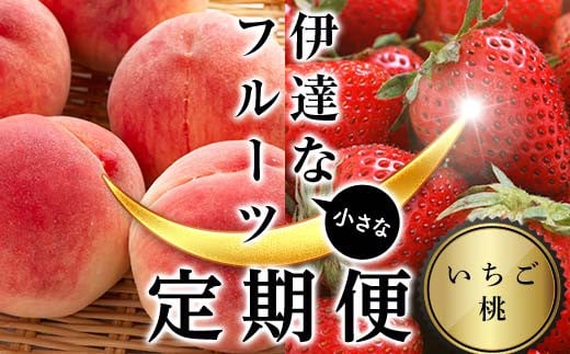 ＜2025年から開始の定期便＞伊達な小さなフル－ツ定期便（いちご約1kg・桃約2kg）果物 フルーツ 桃 モモ 苺 イチゴ 福島県 伊達市 F21C-018