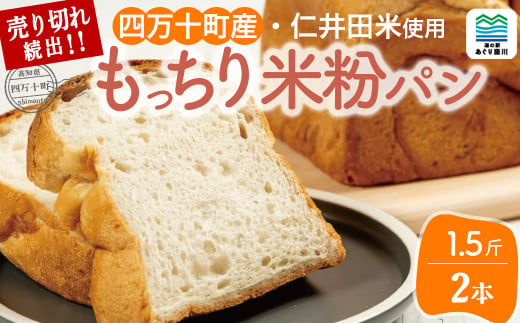 道の駅で売り切れ大人気！モッチリ食感の米粉パン「もち肌美食ぱん」（1.5斤×2本） Qak-38 仁井田米 にいだまい 米粉 パン 国産 米粉パン 名産品 特産品 お取り寄せ 食パン 冷凍 1062848 - 高知県四万十町