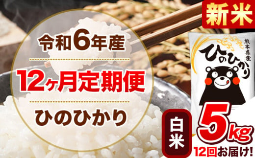 令和6年産新米 【12ヵ月定期便】 白米 ひのひかり 定期便 5kg 5kg×1袋《お申込み翌月から出荷開始》 熊本県産 精米 ひの 米 こめ ヒノヒカリ コメ お米 1582175 - 熊本県津奈木町