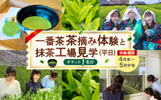 【体験期間4月末～5月中旬】一番茶茶摘み体験と抹茶工場見学(平日)チケット1名分・N065