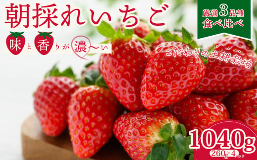 【先行予約/2025年】いちご3種 食べ比べセット 4パック×1箱 《2025年1月以降順次発送》|  苺 イチゴ いちご 檜山いちご園 香り 大粒 いばらキッス ひたち姫 やよいひめ 厳選 フルーツ 新鮮 朝採れ 採れたて フレッシュ 旬 鮮度 甘い 美味しい 糖度 酸味 バランス 果肉 健康 果物 ブランド デザート 贈り物 食べ比べ 人気 リピート おすすめ 茨城県 常陸太田市 1087522 - 茨城県常陸太田市