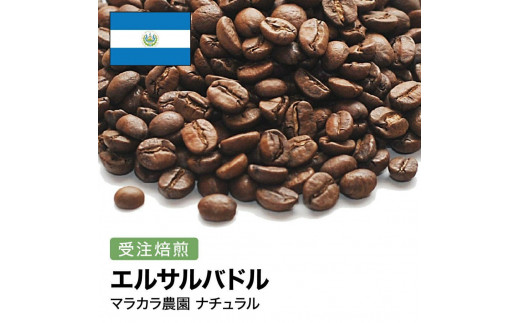 コーヒー豆 #268 エルサルバドル マラカラ農園 ナチュラル 受注焙煎！310g 珈琲豆  自家焙煎