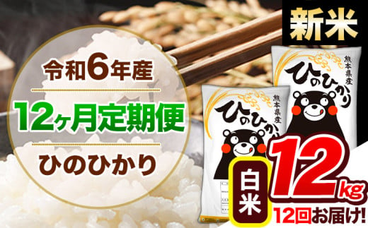 【12ヶ月定期便】令和6年産 新米 定期便 ひのひかり 12kg 《申込み翌月から発送》令和6年産 熊本県産 ふるさと納税 白米 精米 ひの 米 こめ ふるさとのうぜい ヒノヒカリ コメ 熊本米 ひのもり 1569018 - 熊本県玉東町