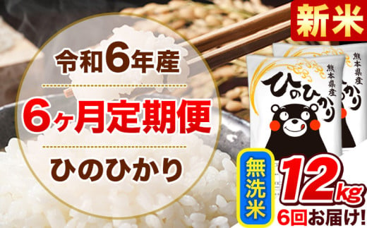 令和6年産新米 【6ヵ月定期便】 無洗米 ひのひかり 定期便 12kg 6kg×2袋《お申込み翌月から出荷開始》 熊本県産 精米 ひの 米 こめ ヒノヒカリ コメ お米 1582166 - 熊本県津奈木町