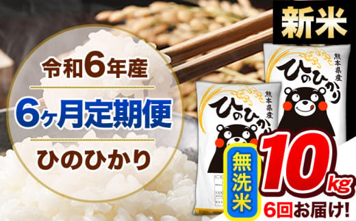 【6ヶ月定期便】令和6年産 新米 定期便 無洗米 ひのひかり 10kg 《申込み翌月から発送》令和6年産 熊本県産 ふるさと納税 精米 ひの 米 こめ ふるさとのうぜい ヒノヒカリ コメ 熊本米 ひのもり 1408890 - 熊本県玉東町