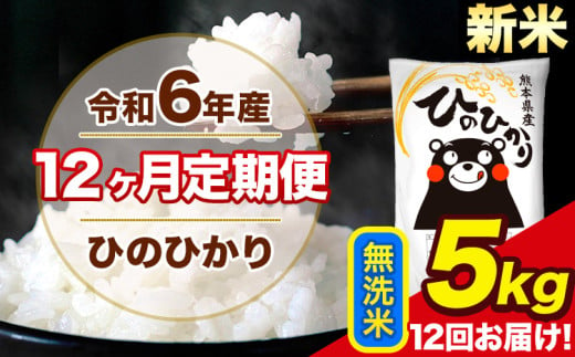 令和6年産 新米 【12ヶ月定期便】 ひのひかり 無洗米 5kg 5kg×1袋 計12回お届け 熊本県産 こめ コメ 無洗米 精米 荒尾市 ひの 米 定期 《お申込み月の翌月から出荷開始》