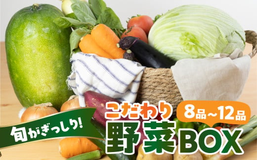 あつみの旬の野菜BOX 旬 野菜 野菜セット 詰合せ 田原市 渥美フーズ さつまいも ほうれんそう とうもろこし トウモロコシ きゅうり なす ナス ピーマン ねぎ 大根 じゃがいも たまねぎ にんにく人参 かぶ 白菜渥美半島 愛知県