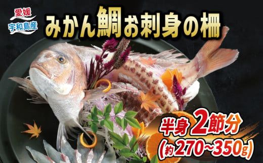 真鯛 みかん 鯛 270g ~ 350g 半身 刺身 柵 2節 宇和島プロジェクト マダイ タイ お刺身 お刺し身 刺し身 真空パック フィーレ お手軽 海鮮 鯛めし 鯛茶漬け 鯛しゃぶ 塩焼き 煮付け アレンジ 蜜柑 mikan 柑橘 冷凍 国産 愛媛 宇和島 D012-071001 1272545 - 愛媛県宇和島市