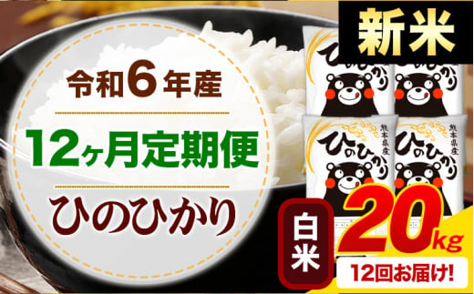 【12ヶ月定期便】令和6年産 新米 白米 早期先行予約受付中 ひのひかり 定期便 20kg《申込み翌月から発送》令和6年産 熊本県産 ふるさと納税 精米 ひの 米 こめ ふるさとのうぜい ヒノヒカリ コメ お米