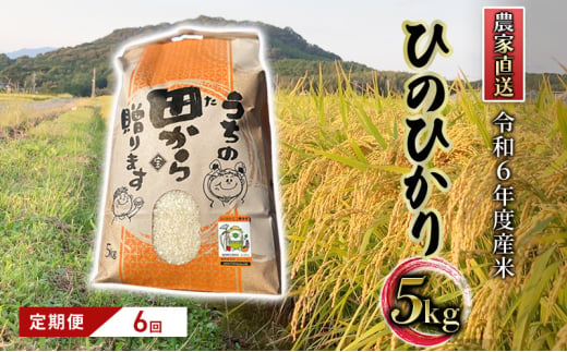 定期便6ヶ月 米 5kg 令和6年度産米 ひのひかり 筑後小郡産 農家直送 6回 お米 コメ お楽しみ