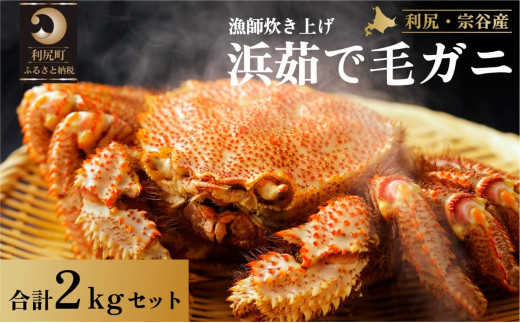 ［2025年2月出荷開始先行受付］利尻・宗谷産 浜茹で毛ガニ 合計約2kgセットカニ 毛ガニ  茹で蟹 魚介類 1373860 - 北海道利尻町 |