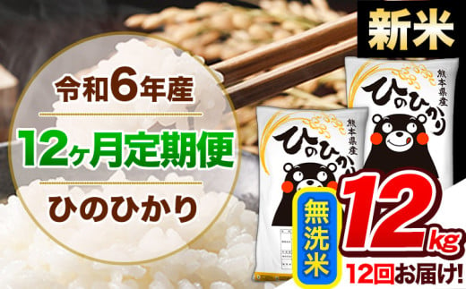 【12ヶ月定期便】令和6年産 新米 定期便 無洗米 ひのひかり 12kg 《申込み翌月から発送》令和6年産 熊本県産 ふるさと納税 精米 ひの 米 こめ ふるさとのうぜい ヒノヒカリ コメ 熊本米 ひのもり 1569274 - 熊本県玉東町