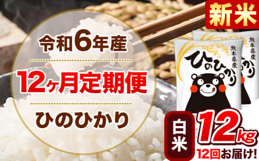 令和6年産新米 【12ヵ月定期便】 白米 ひのひかり 定期便 12kg 6kg×2袋《お申込み翌月から出荷開始》 熊本県産 精米 ひの 米 こめ ヒノヒカリ コメ お米 1582167 - 熊本県津奈木町