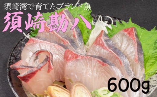 須崎勘八 600g | 勘八 環八 カンパチ かんぱち ブランド 魚 鮮魚 海鮮 刺身 さしみ 焼き魚 料理 簡単調理 背 腹 下処理有 高知県 須崎市  1574671 - 高知県須崎市