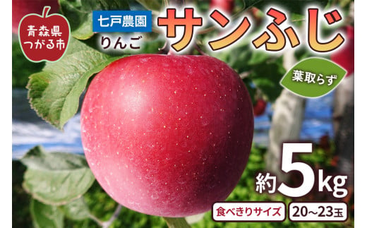 りんご サンふじ 葉取らず 食べきりサイズ 約5kg (20～23玉)｜青森産 つがる 青森りんご リンゴ 林檎 フルーツ 果物 令和6年 2024年 [0758]