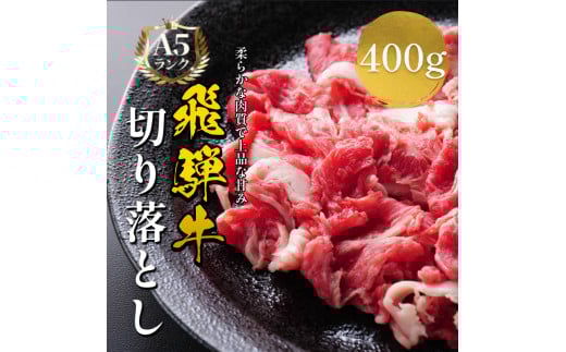 飛騨牛 牛肉 切り落とし 500g×2 計1kg 和牛