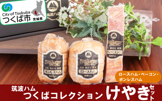 筑波ハム　つくばコレクション けやきセット（ボンレスハム、ベーコン、ロースハム）【 豚肉 豚 ぶた肉 ポーク ハム はむ ロースハム ベーコン ボンレスハム 茨城県産 国産 つくば市 】 1612032 - 茨城県つくば市