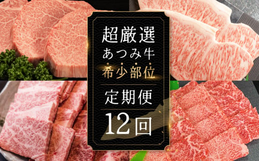 超厳選!あつみ牛希少部位定期便 12回お届け あつみ牛 牛 牛肉 シャトーブリアン ロース カルビ サーロイン 赤身 焼肉 ステーキ 定期便 肉 サーロイン サーロインステーキ ステーキ 田原市 渥美フーズ 愛知県 渥美半島