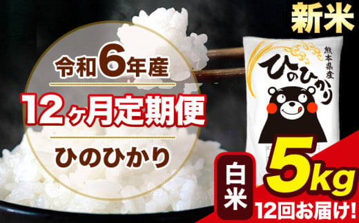 令和6年産 新米 【12ヶ月定期便】 ひのひかり 白米 5kg 5kg×1袋 計12回お届け 熊本県産 こめ コメ 白米 精米 荒尾市 ひの 米 定期 《お申込み月の翌月から出荷開始》