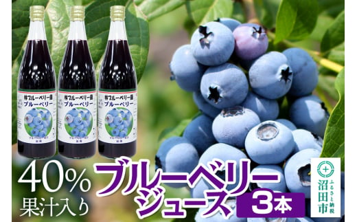 40％果汁入り ブルーベリージュース 720ml×3本セット 240797 - 群馬県沼田市