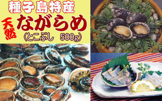 【 数量限定 】種子島特産　ナガラメ（とこぶし）500ｇ　NFN1009 【500pt】 // 高級食材 トコブシ とこぶし ながらめ ナガラメ