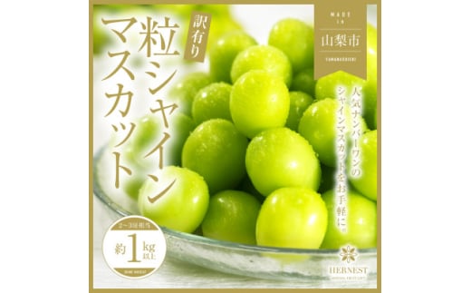 2025年先行受付＜訳あり＞山梨県山梨市産　シャインマスカット　粒　約1kg以上【1459681】 1129725 - 山梨県山梨市