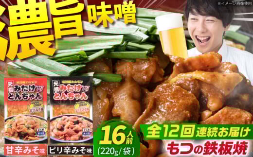 【12回定期便】岐阜県産豚もつの鉄板焼き「元祖みたけとんちゃん」2種セット（16人前） / モツ もつ 白もつ ホルモン / 御嵩町 / 藤よし [AVAA017] 1568080 - 岐阜県御嵩町