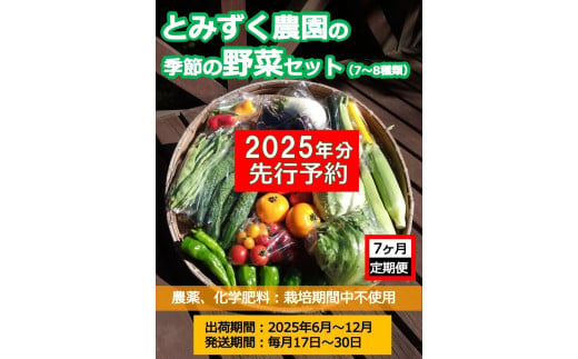 【先行予約／7ヶ月連続定期便／受付期限１２月３１日】とみずく農園の季節の野菜セット　２０２５年出荷分＜出荷時期：2025年6月17日出荷開始～2025年12月28日出荷終了※原則、2025年6月以降、毎月17日～毎月30日に出荷＞【 長野県 佐久市 】 1565289 - 長野県佐久市