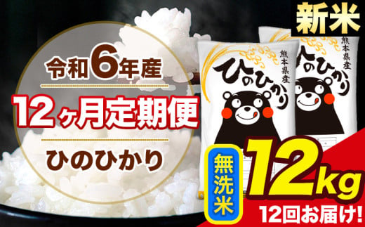 令和6年産 新米 【12ヶ月定期便】 ひのひかり 無洗米 12kg 6kg×2袋 計12回お届け 熊本県産 こめ コメ 無洗米 精米 荒尾市 ひの 米 定期 《お申込み月の翌月から出荷開始》