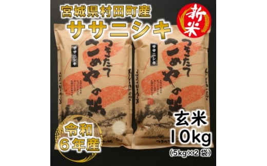 ＜新米＞令和6年産 ササニシキ 玄米10kg(5kg×2) 宮城県村田町産【1217476】 324745 - 宮城県村田町