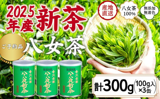 【予約品】2025年産新茶 八女茶100％ 「八十八夜新茶」 100g缶詰×３ ＜岩崎園製茶＞｜2025年5月初旬頃発送 556662 - 福岡県八女市