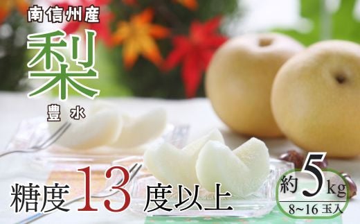 A-3 梨　豊水 約5kg【8～16玉】※2025年発送　先行予約分※ 725349 - 長野県豊丘村