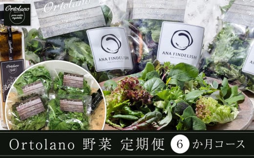 【Ortolano】野菜 定期便（6か月コース）【配達不可：北海道・沖縄・離島】  776514 - 岡山県岡山市