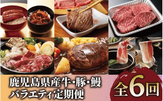 【全６回定期便】鹿児島県産牛・豚・鰻バラエティ定期便(Z100-1730) 牛肉 豚肉 うなぎ 鹿児島県産 鹿児島産 国産 定期 頒布会 スライス しゃぶしゃぶ すき焼き ハンバーグ 黒牛 黒豚 鹿児島黒牛 茶美豚 チャーミートン 焼肉 蒲焼 うなぎ蒲焼 6回