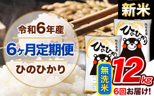 【6ヶ月定期便】令和6年産 新米 定期便 無洗米 ひのひかり 12kg 《申込み翌月から発送》令和6年産 熊本県産 ふるさと納税 精米 ひの 米 こめ ふるさとのうぜい ヒノヒカリ コメ 熊本米 ひのもり 1569017 - 熊本県玉東町