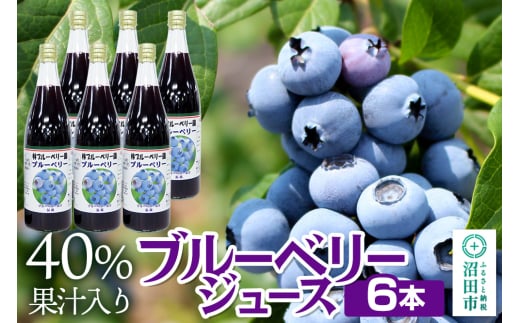 40％果汁入り ブルーベリージュース 720ml×6本セット 240798 - 群馬県沼田市