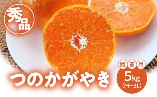 【期間・数量限定！】奄美つのかがやき＜秀品＞化粧箱 5kg （満杯詰め）3L～Mサイズ【贈答用】　A070-006