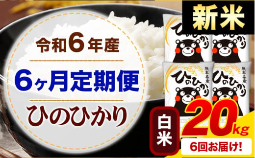 【6ヶ月定期便】令和6年産 新米 白米 早期先行予約受付中 ひのひかり 定期便 20kg《申込み翌月から発送》令和6年産 熊本県産 ふるさと納税 精米 ひの 米 こめ ふるさとのうぜい ヒノヒカリ コメ お米