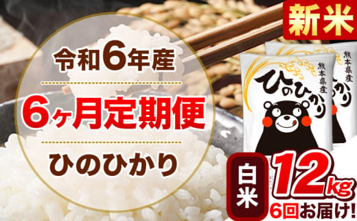 令和6年産新米 【6ヵ月定期便】 白米 ひのひかり 定期便 12kg 6kg×2袋《お申込み翌月から出荷開始》 熊本県産 精米 ひの 米 こめ ヒノヒカリ コメ お米 1582165 - 熊本県津奈木町