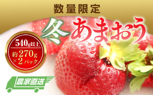 数量限定 冬あまおう２パック 540ｇ以上（270g以上×2）農家直送 アフター保証 イチゴ 苺 いちご 福岡 博多あまおう フルーツ VZ003  2024年12月以降順次発送 