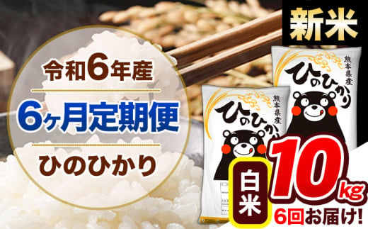 【6ヶ月定期便】令和6年産 新米 定期便 ひのひかり 10kg 《申込み翌月から発送》令和6年産 熊本県産 ふるさと納税 白米 精米 ひの 米 こめ ふるさとのうぜい ヒノヒカリ コメ 熊本米 ひのもり 1408888 - 熊本県玉東町